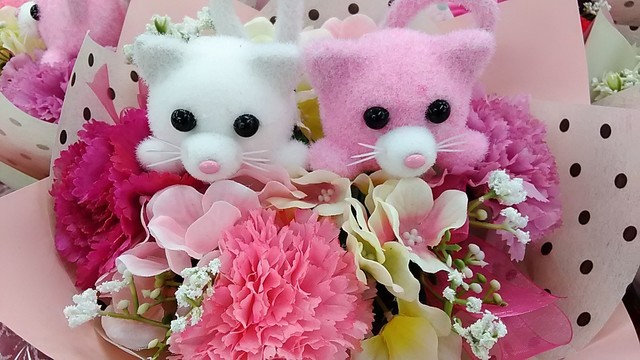 P_20200426_132232.jpg
