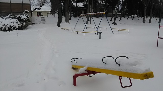 P_20210102_115652.jpg