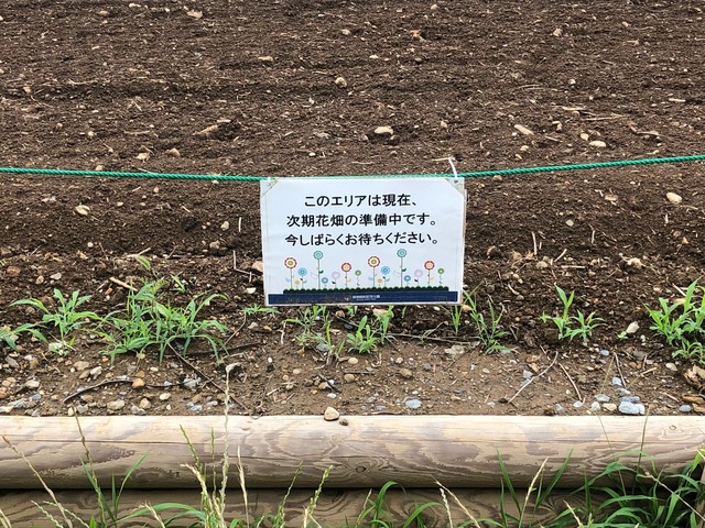S__740655108.jpg