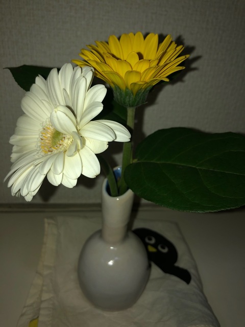S__761200643.jpg