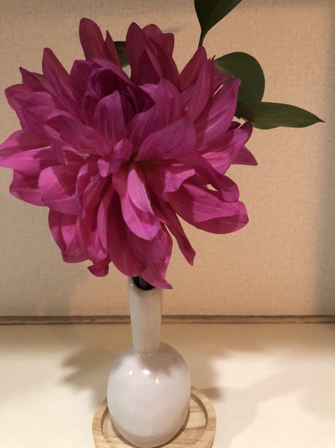 S__814481410.jpg
